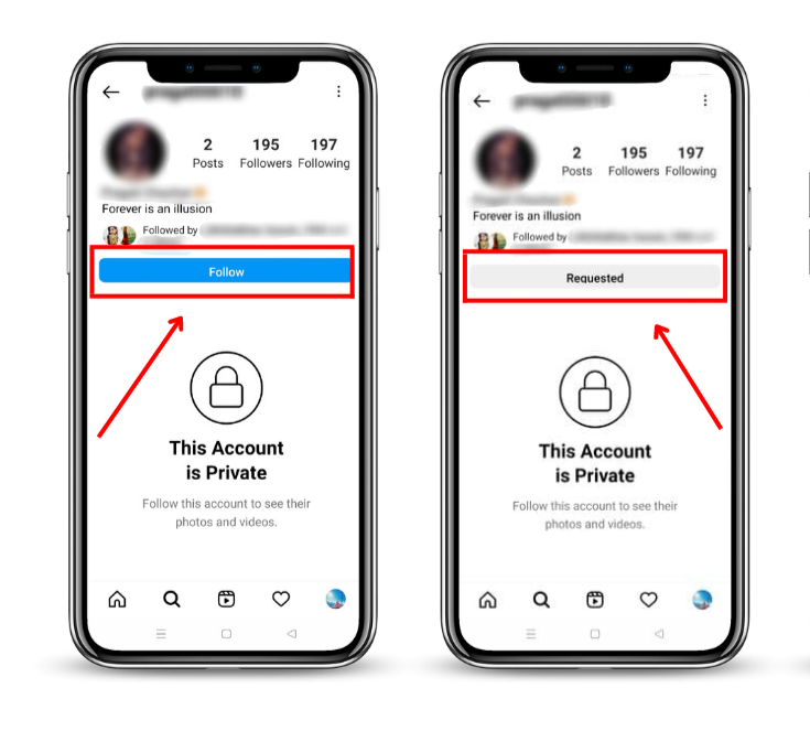 How to View Private Instagram